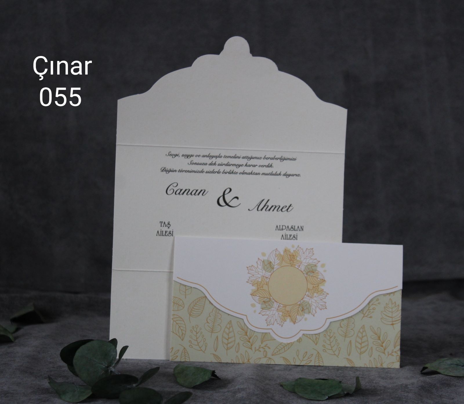 Çınar 55